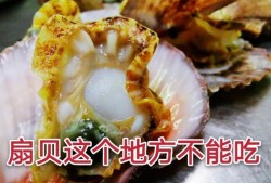 孕期能吃扇贝吗（孕期能吃扇贝吗好大夫在线）