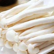 孕期可以吃哪些海鲜（孕妇可以吃海鲜菇吗）