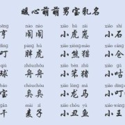 胎儿取小名（为什么要早给胎儿起乳名）