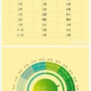 满月按照阴历还是阳历算，多少天为满月,孕期怎么算时间?
