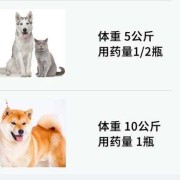 孕期打虫（母猫孕期可以做体外驱虫吗）