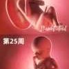 胎儿有意识（宝宝多大才有意识）