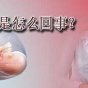 胎儿为什么会胎停（什么情况会导致胎停）
