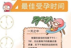 最好受孕期（最好的受孕时间）