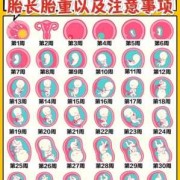 怀孕13周胎儿有多大?正常值应该是怎么样的呢?孕妇要如何补充营养,70天的胎儿有多大