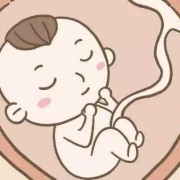 胎儿呈屈曲团抱位图片（胎儿呈屈曲团抱位姿势图）