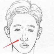 胎儿鼻骨长是鼻梁高吗（怎么判断婴儿是不是高鼻梁）