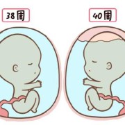 孕晚期胎儿偏小四周（孕晚期胎儿偏小四周）