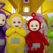 天线宝宝都叫什么,胎儿的记忆描述哪项不正确