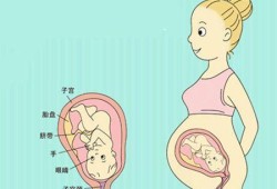 如何自检胎儿是否入盆（怀孕一般什么时候入盆有什么症状）