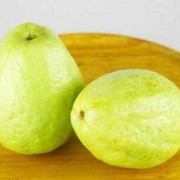 孕期能吃番石榴吗（孕妇血糖高可以吃番石榴吗）