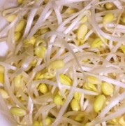 孕期能吃豆芽吗（孕妇吃豆芽好吗）