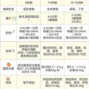 九月龄宝宝营养辅食怎样的？每天添加多少顿辅食比较合适,前3个月胎儿营养需求