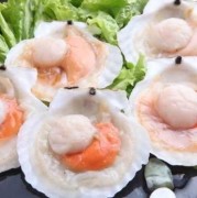 孕期可以吃扇贝吗（扇贝还能吃吗）