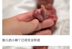 胎儿记忆（6个月婴儿记忆有几天）