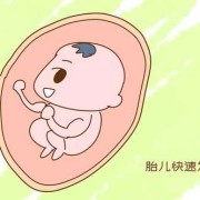 胎儿夜里一直动个不停（胎儿夜里一直动个不停是什么原因）