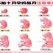 怀孕胎儿偏大（怀孕34周宝宝偏大怎么控制饮食呢）