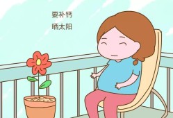 孕期晒太阳晒哪个部位（孕期晒太阳晒哪个部位好）