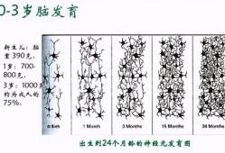 婴儿什么时候长大脑,胎儿小脑发育不良是什么原因造成的