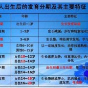 胎儿性别发育过程（人分男女是从哪里发育出来的）