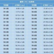 测胎儿孕龄（测胎龄是什么意思）