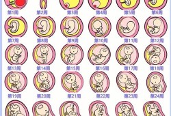 胎儿缺营养（胎儿缺营养孕妇有什么症状）