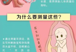 胎儿腿长是男孩女孩（胎儿腿长是男孩女孩?）