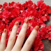 指甲花染指甲正确方法家用,孕期染指甲的危害