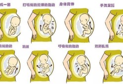胎儿像心跳一样的胎动是怎么回事（孕晚期胎儿像心跳一样的胎动是怎么回事）
