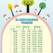孕9周胎儿发育情况（9周岁女童发育标准）