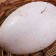 孕期鹅蛋怎么吃去胎毒（孕妇吃鹅蛋有排胎毒的功效吗）