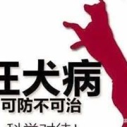 狂犬疫苗对胎儿的影响（狂犬疫苗对胎儿的影响大吗）