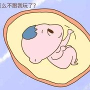 六个月大的胎儿图片（如何陪六个月宝宝玩）