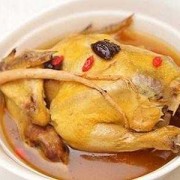 怀孕期间能吃鸡肉吗（怀孕能吃人参炖鸡吗）