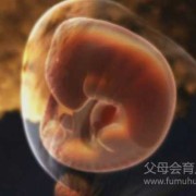 胎儿反应（宝宝1个月表现）