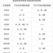 血型遗传有什么规律,怎么查胎儿血型防溶血症
