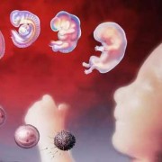 胎儿着床症状（受精卵着床后的症状什么样）