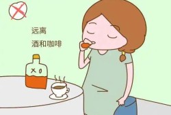女性备孕期喝了点啤酒（女性备孕期喝了点啤酒多久后能怀孕）