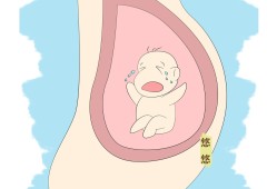 妈妈睡觉胎儿也睡觉吗（妈妈睡觉胎儿也睡觉吗图片）