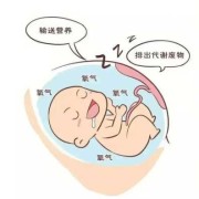 胎盘大对胎儿有好处吗（胎盘大对胎儿有好处吗视频）