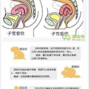 请问怀孕之后子宫会不会增大啊?子宫增大的速度超过胎龄是否不正常啊,易孕期会不会怀孕吃了药