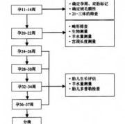 怀孕期间b超多久做一次（怀孕期间b超多久做一次比较好）