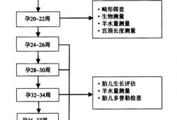 怀孕期间b超多久做一次（怀孕期间b超多久做一次比较好）