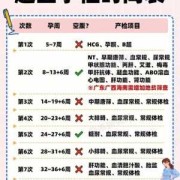 中期唐氏筛查最佳时间,孕妇糖筛几周做最佳时间