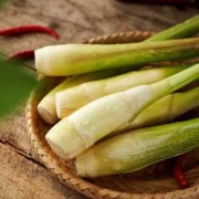 孕期可以吃茭白吗（13个月宝宝可以吃茭白吗）