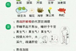 孕期如何养肝（孕期如何养肝护肝）