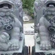 胎儿男左女右准吗（怎样判别石狮子的公母）