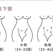 胎儿正常胎心（胎儿的胎心在哪个位置听）