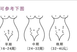 胎儿正常胎心（胎儿的胎心在哪个位置听）