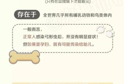 养狗会导致胎儿畸形吗（怀孕几个月后就不怕弓形虫了）